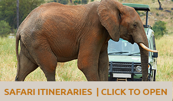 Tanzania wildlife safari